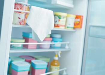 The Ultimate 7-Step Home Ice Cream Freezer Cleaning and Care Tutorial