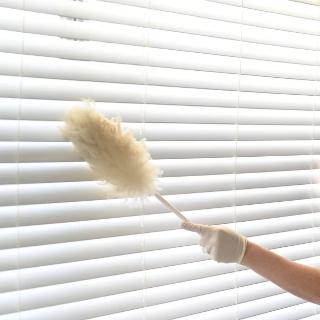 Oil lamp shades and glass